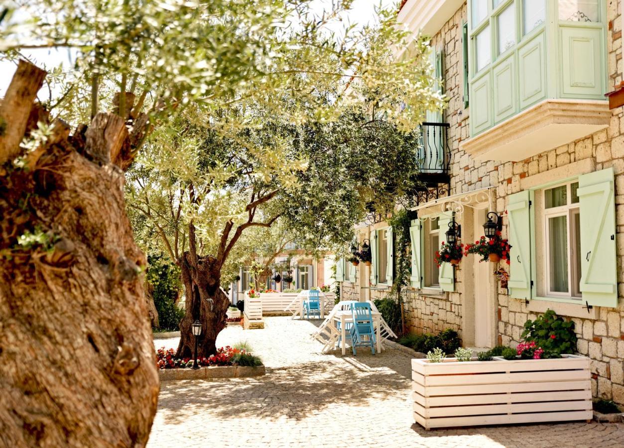 Zeytin Arasi Apart Otel Ayvalik Exterior photo